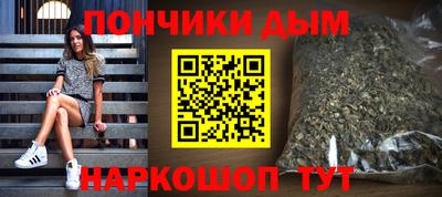 гидропоника Можга