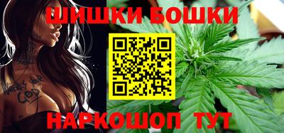 гидропоника Можга
