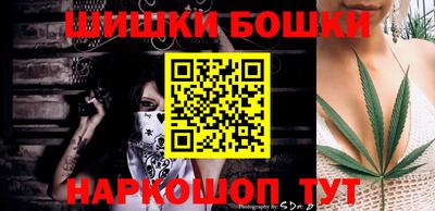 Альфа ПВП Моздок