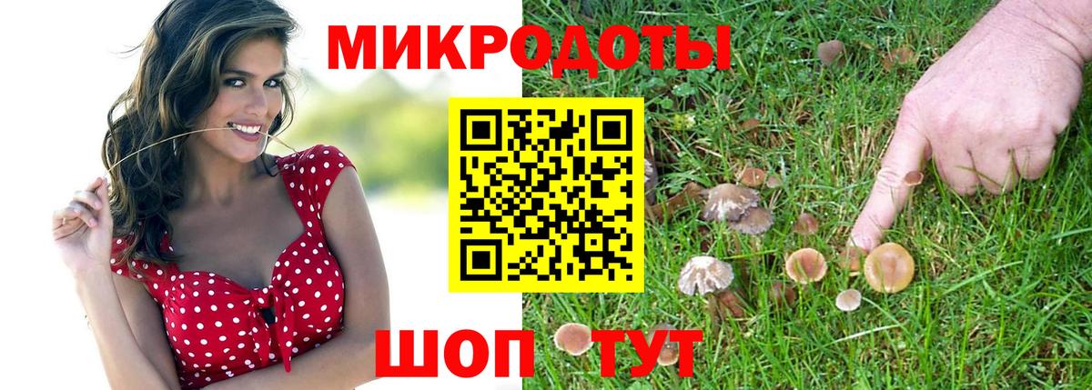 Псилоцибиновые грибы ЛСД  купить наркотики сайты  Тольятти  Галлюциногенные грибы Psilocybe  Вход с VPN 